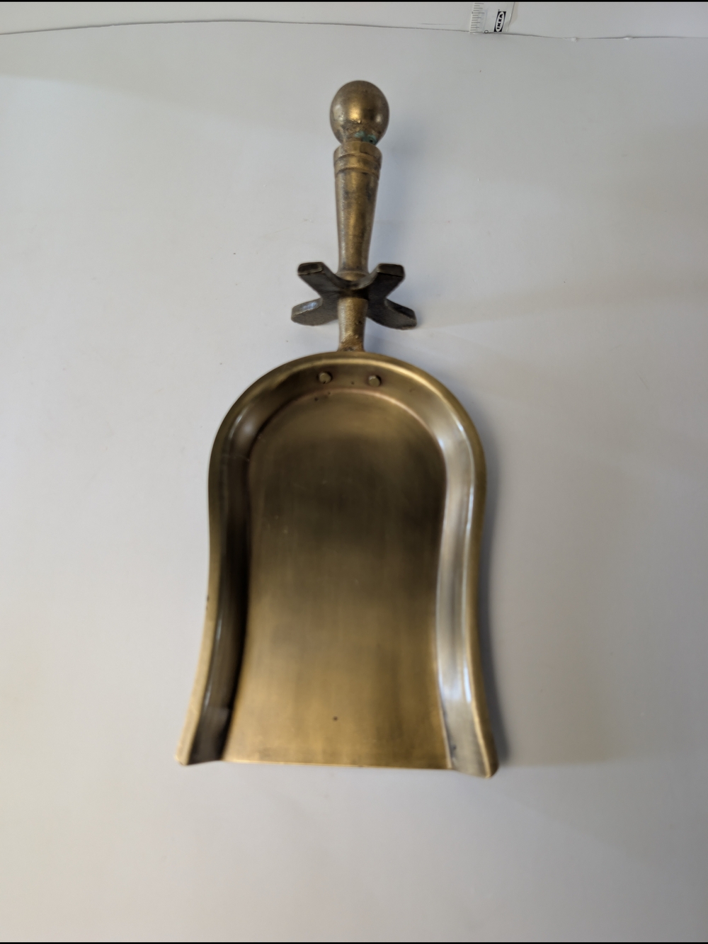Magnolia Brass-Tone Serving‎ Scoop in Antique Gold